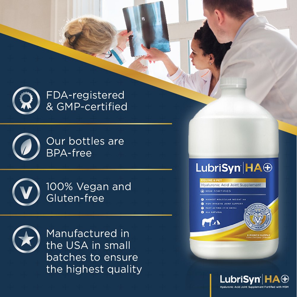 LubriSyn Hyaluronic Acid + MSM Joint Supplement for Dogs, Cats & Horses - 128oz Natural Pure HA Liquid for Joint & Cartilage Support, Pain Relief & Lubrication - Vegan Formula for Pet Mobility & Comfort - Ideal for Aging Pets, Active Animals & Post-Surgery Recovery