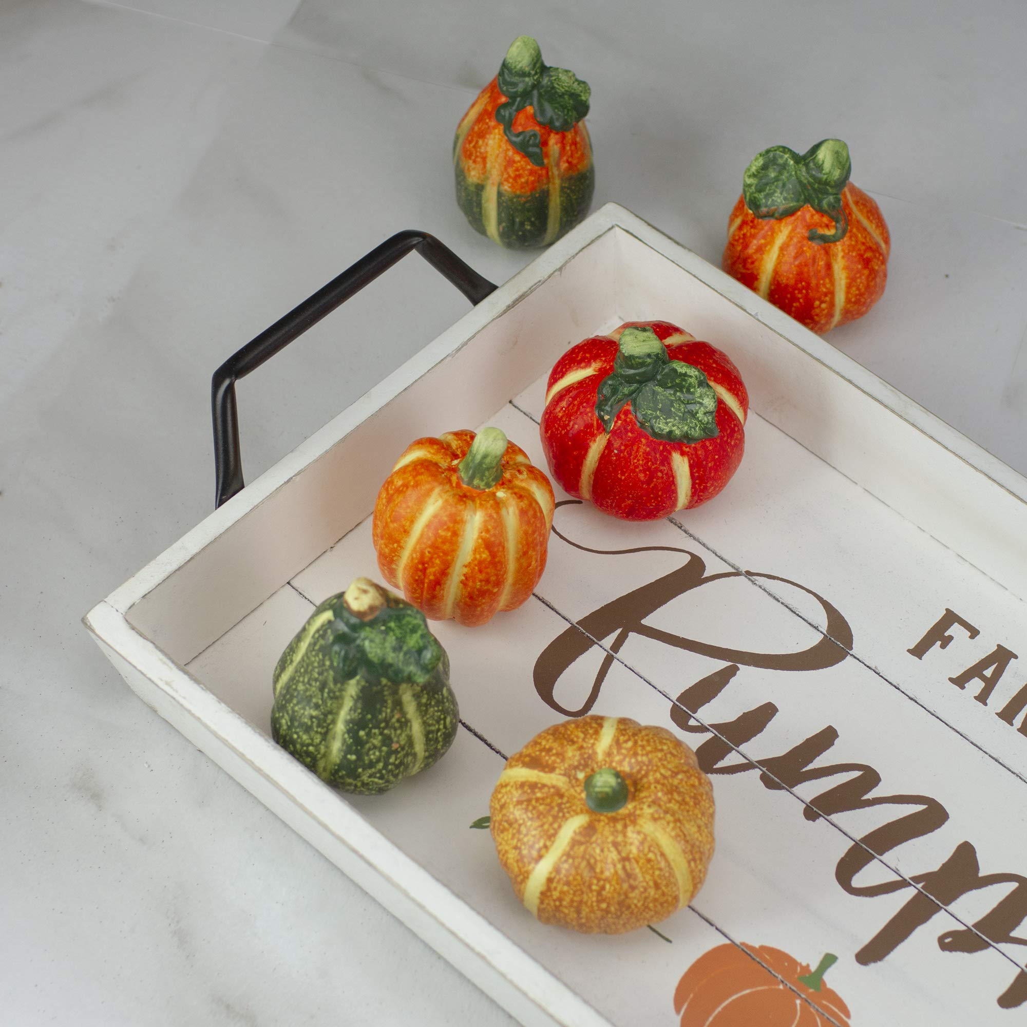 Northlight 6-Piece Fall Harvest Ceramic Pumpkin Decor Set - Autumn Thanksgiving Table Centerpiece, Home Porch & Mantel Decorations