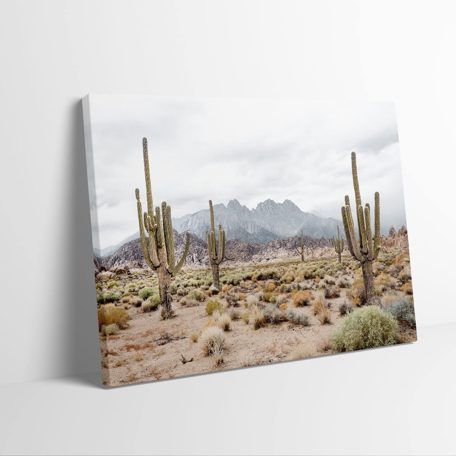 GUBIYU Desert Succulent Wall Art - Botanical Prints, Cactus & Mountain Tree Wall Decor - Boho Nature Artwork for Bedroom & Living Room - 28x40 Inch Desert Themed Poster (Perfect for Home, Office & Boho Style Interior Design)