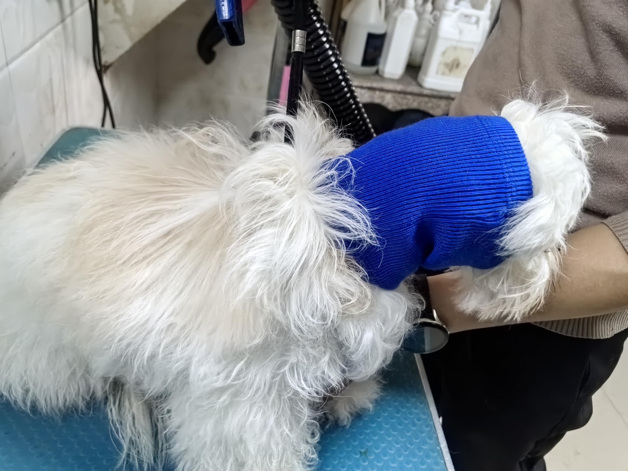 Noise Cancelling Dog Ear Covers & Neck Protector - Soft Pet Snood Wrap for Grooming, Anxiety Relief & Travel - Purple (Perfect for Grooming, Fireworks & Vet Visits)