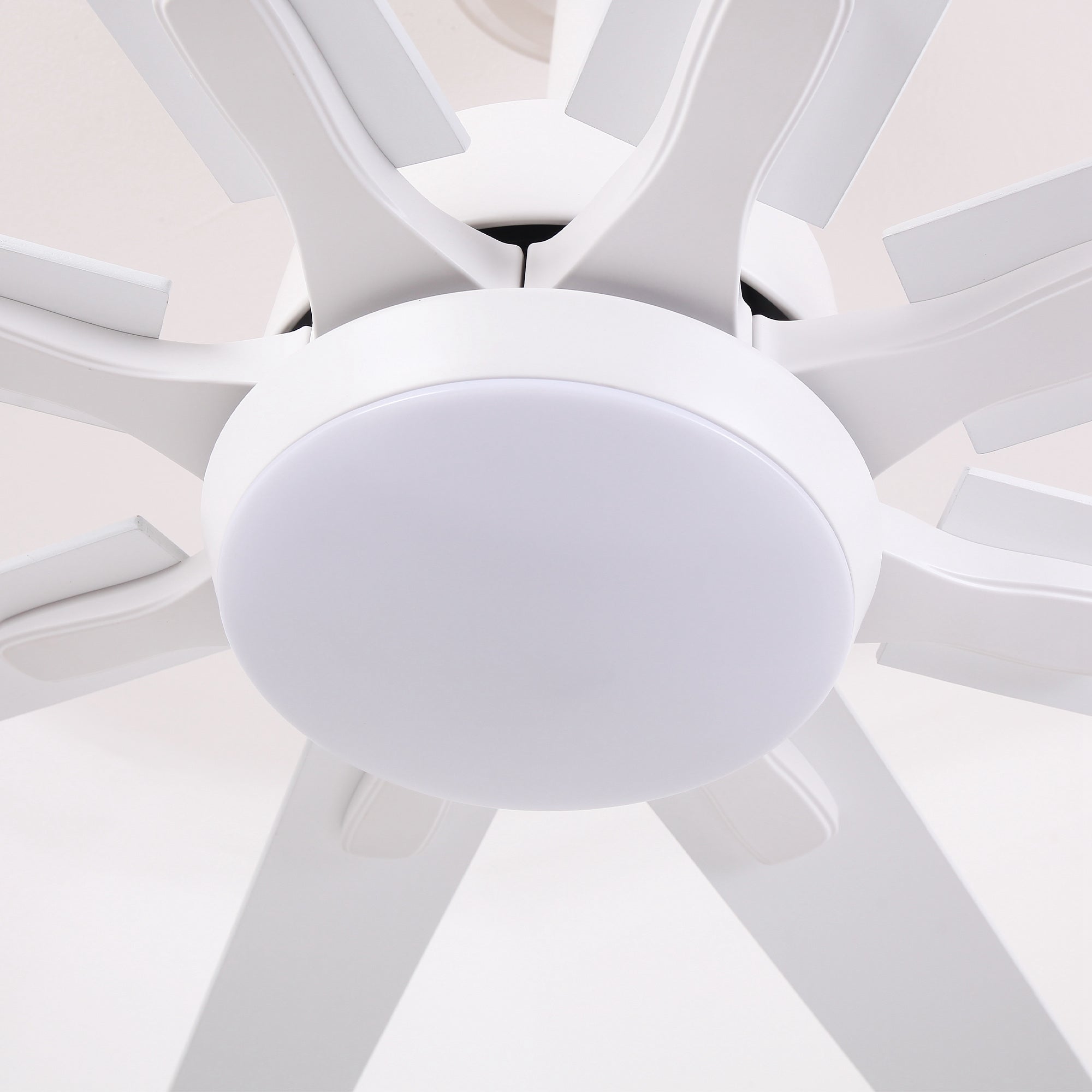 65 Inch Teresa Modern Double Sided Blades Ceiling Fan with Remote Control & LED Light - Perfect for Living Room, Bedroom and Outdoor Patio Cooling