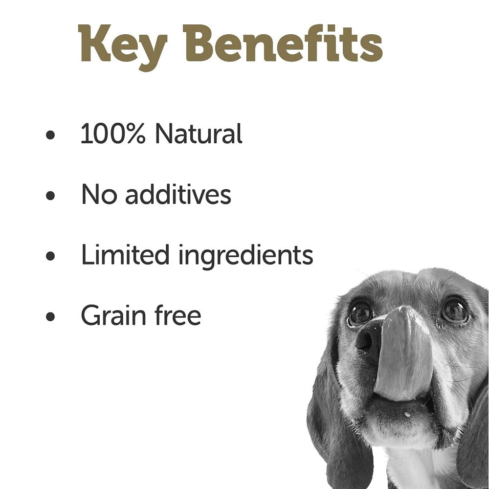 Premium Chicken Breast with Salmon & Vegetables Dog Food - Grain-Free, High-Protein Wet Canned Food for Adult Dogs - Perfect for Mealtime, Training Rewards & Sensitive Stomachs