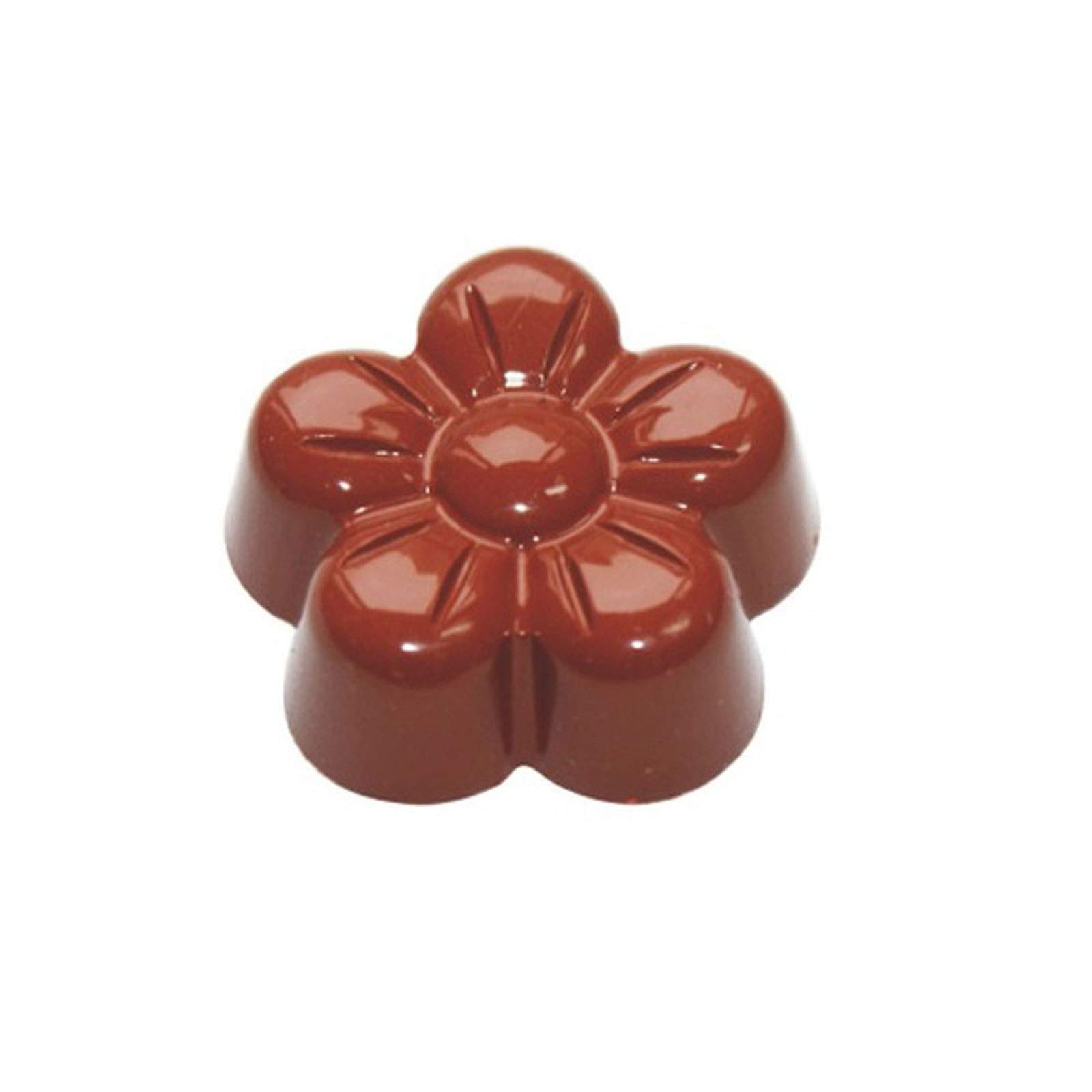 Grainrain Polycarbonate Chocolate Mold for Baking & Candy Making