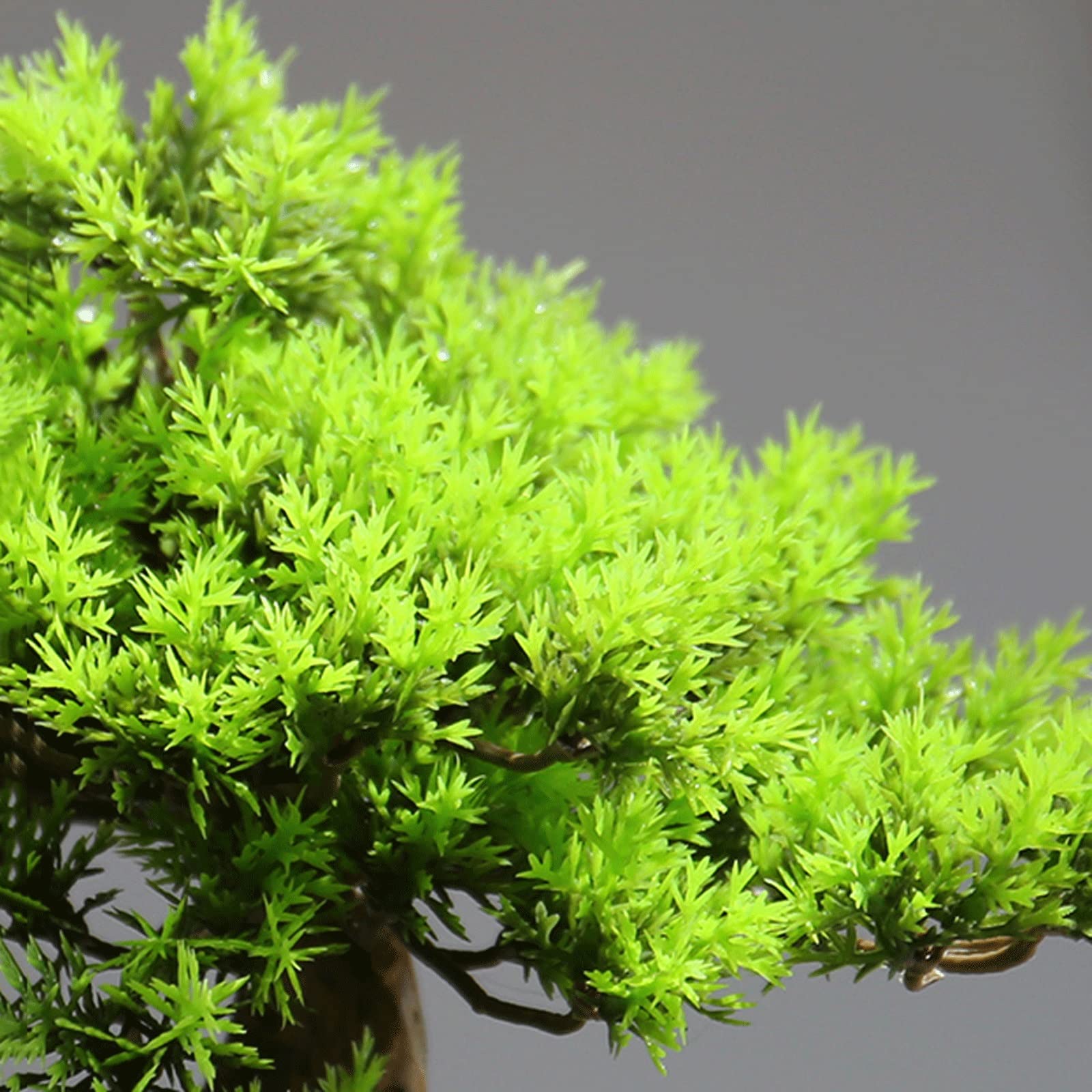 Artificial Bonsai Tree - Mini Fake Pine Potted Plant for Home & Office Decor, Desktop Display, Indoor Garden Decoration | Perfect for Living Room, Bedroom, Workspace & Gift Giving