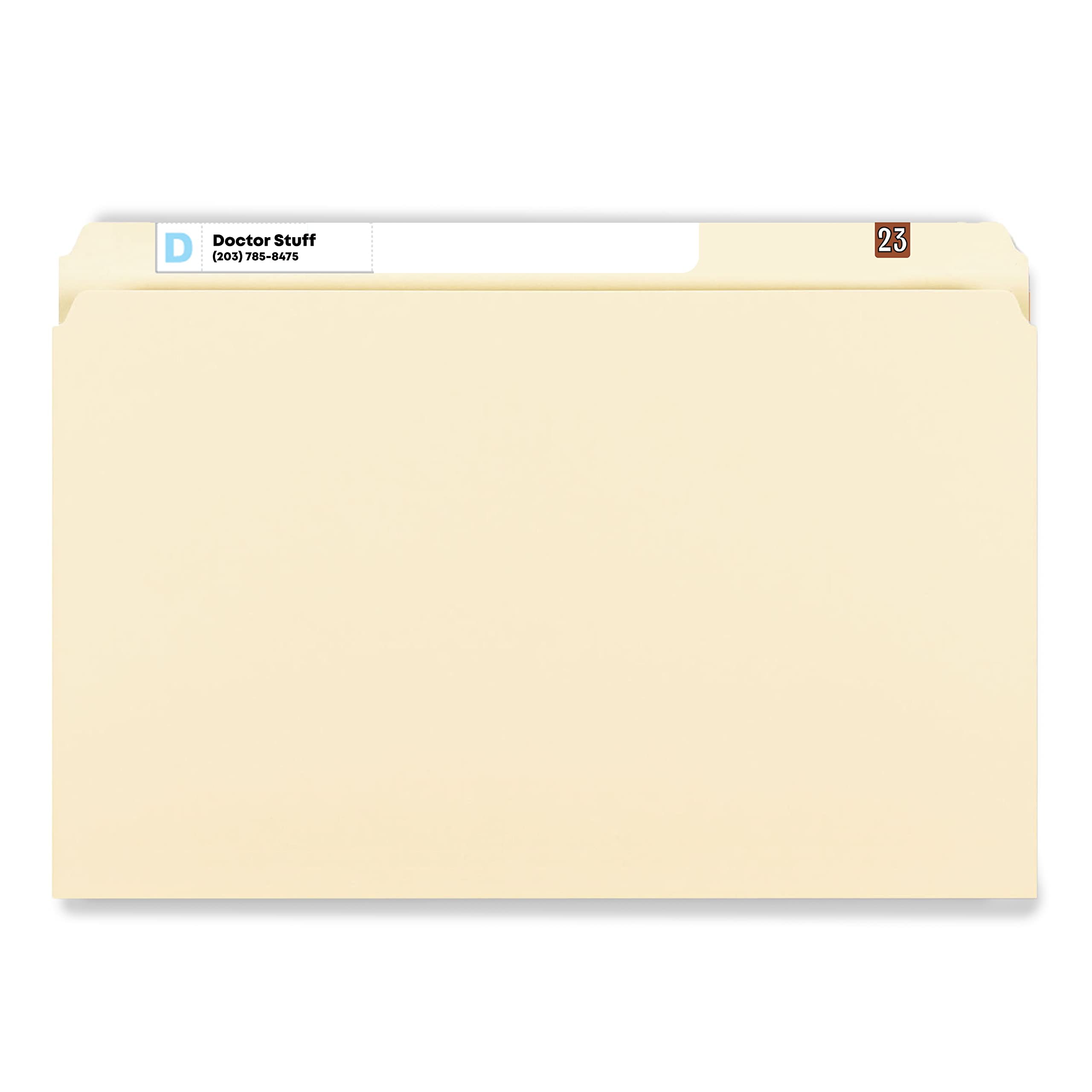 2023 Mini Year Stickers - Brown Doctor Themed Chart Labels | Colwell Jewel Tone Style | 1/2