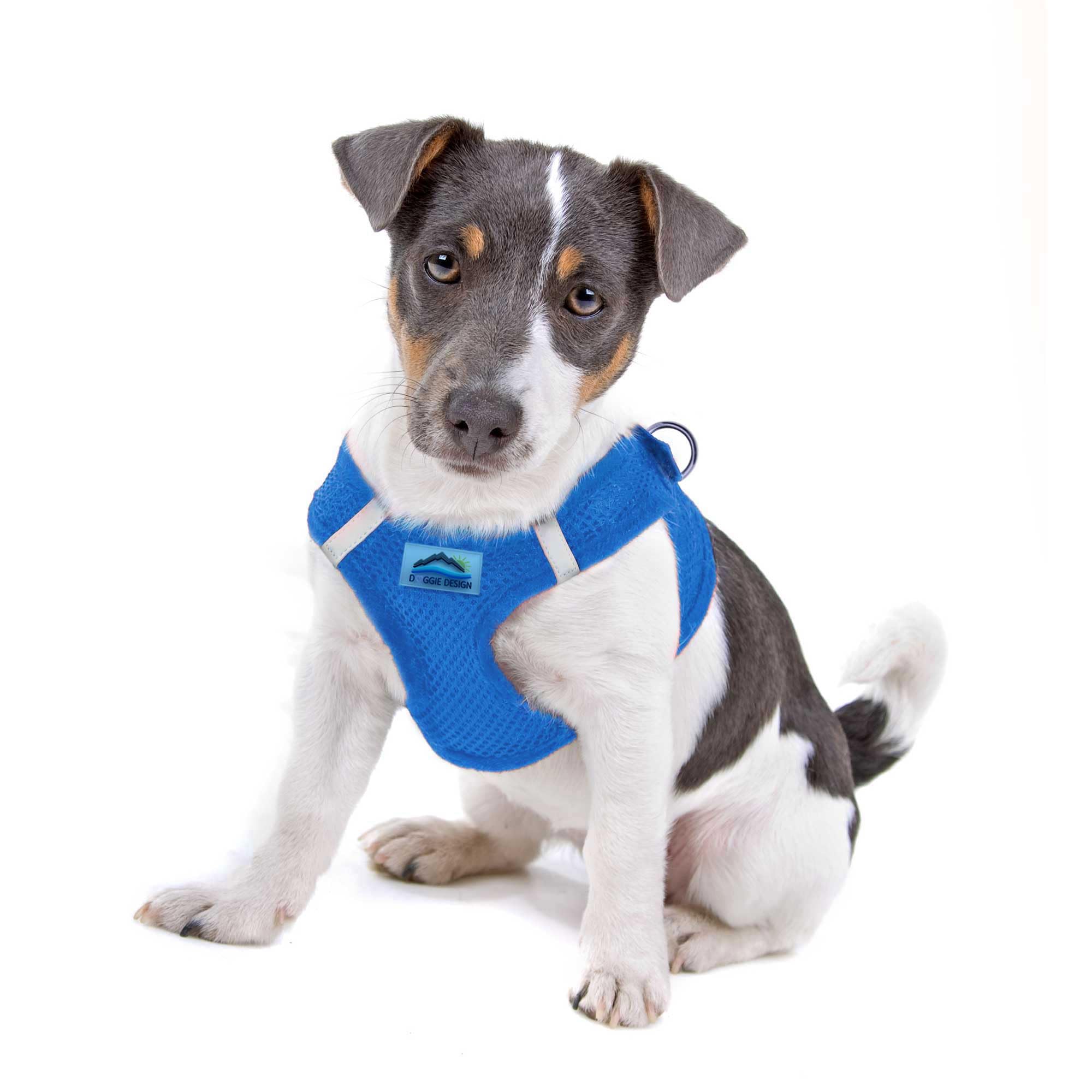 Doggie Design No-Choke Dog Harness - Breathable Mesh Polyester Pet Vest with Easy Step-in Design for Small Medium Large Dogs - Cobalt Blue Size S | Perfect for Walking, Hiking & Outdoor Adventures