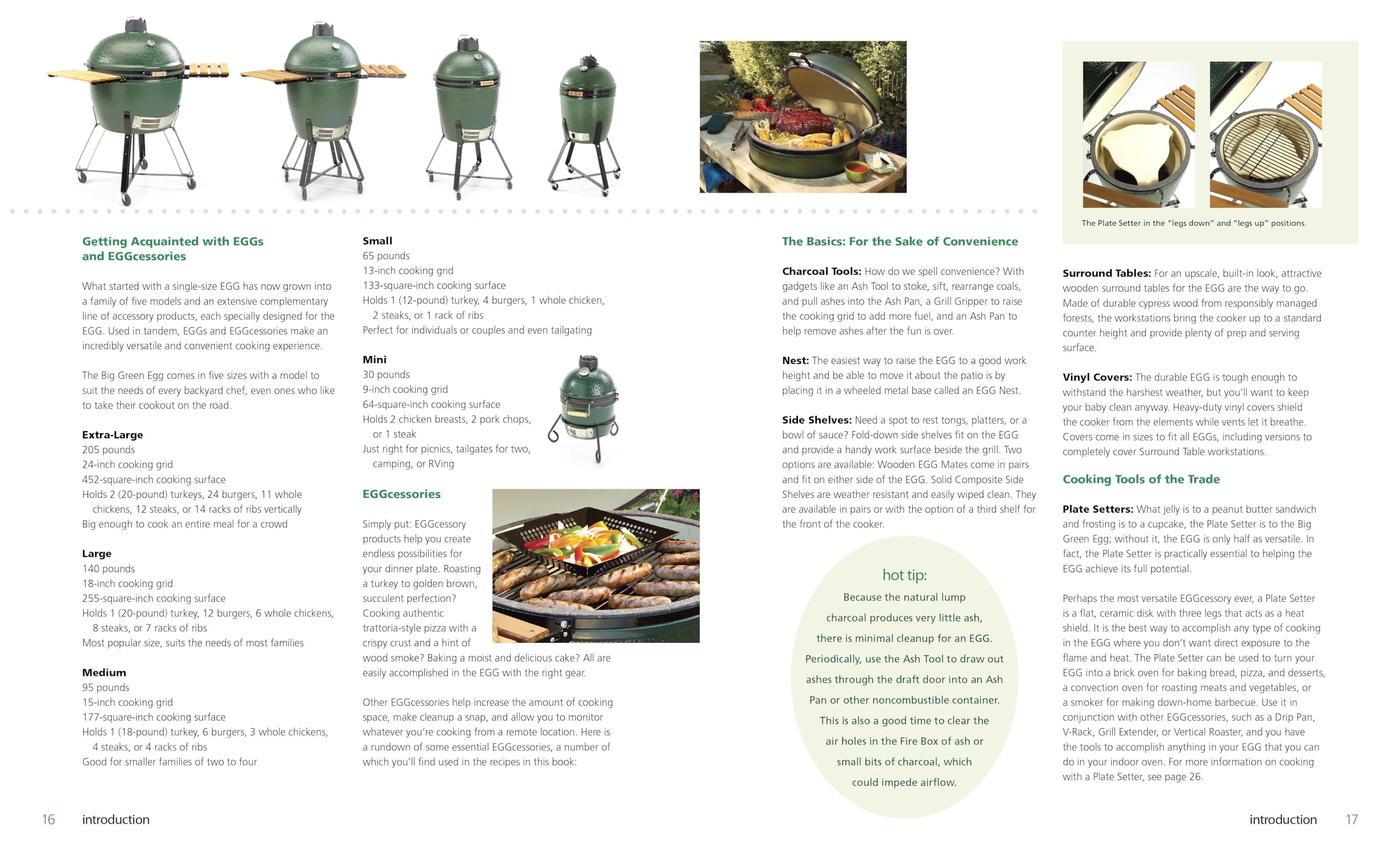 Big Green Egg Cookbook: Ultimate Grilling & Smoking Recipes for Outdoor Cooking (Volume 1) - Perfect for Backyard BBQs, Camping Trips & Tailgating Parties