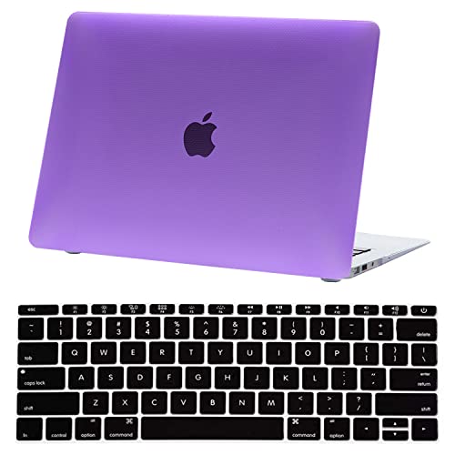 DOT CASE-Purple
