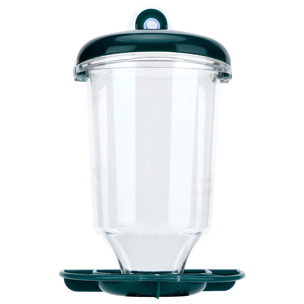 Oumefar Transparent Automatic Wild Bird Feeder with Suction Cup - Hanging Garden Bird Seed Dispenser for Outdoor Bird Watching & Backyard Wildlife Attraction