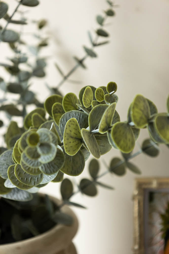 Artificial Eucalyptus Plant in Pot - Realistic Fake Greenery for Home Decor, Office, Wedding & Event Centerpieces