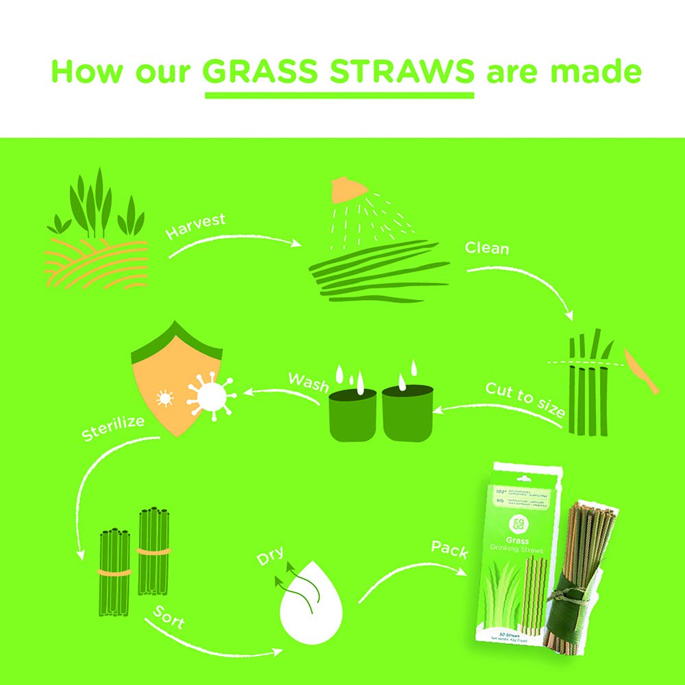 100% Organic Wheat Drinking Straws - Natural, Eco-Friendly, Biodegradable, Disposable - Healthier Alternative to Bamboo, Paper & Plastic Straws - Pack of 100 - Perfect for Parties, Restaurants & Sustainable Living
