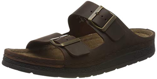 Brown Dark Brown 480