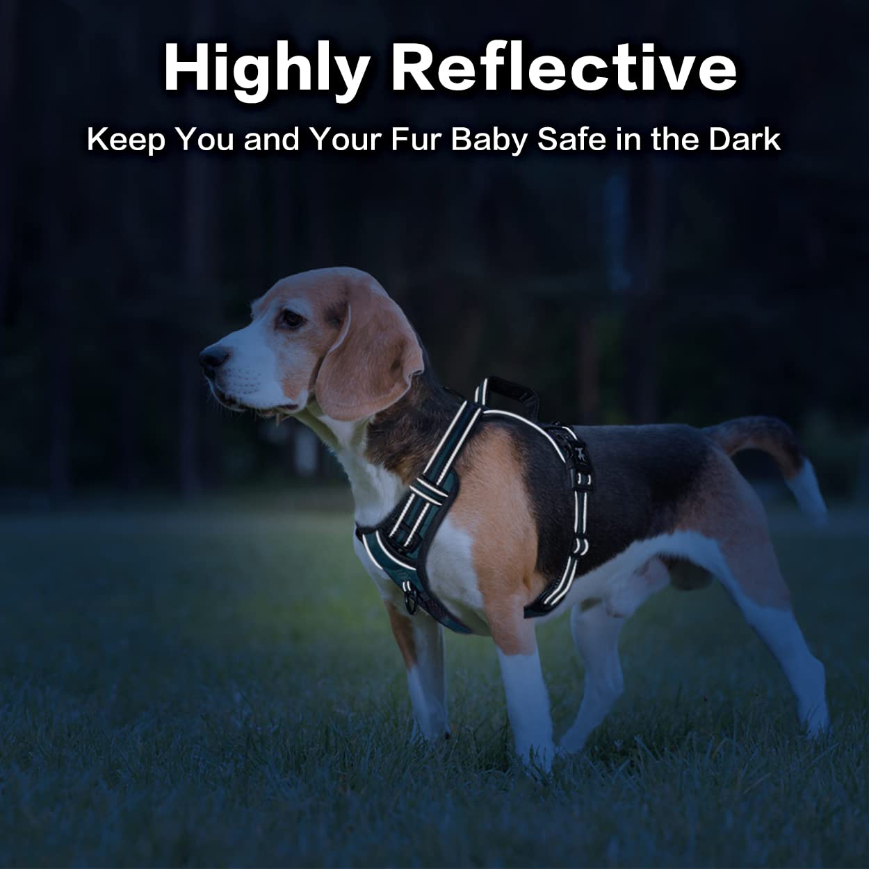 PoyPet No Pull Dog Harness - Front Clip Reflective Vest with Soft Padded Handle & 3 Leash Attachments for Small Medium Large Dogs (Tumalo Teal, Medium) - Perfect for Walking, Training & Nighttime Safety