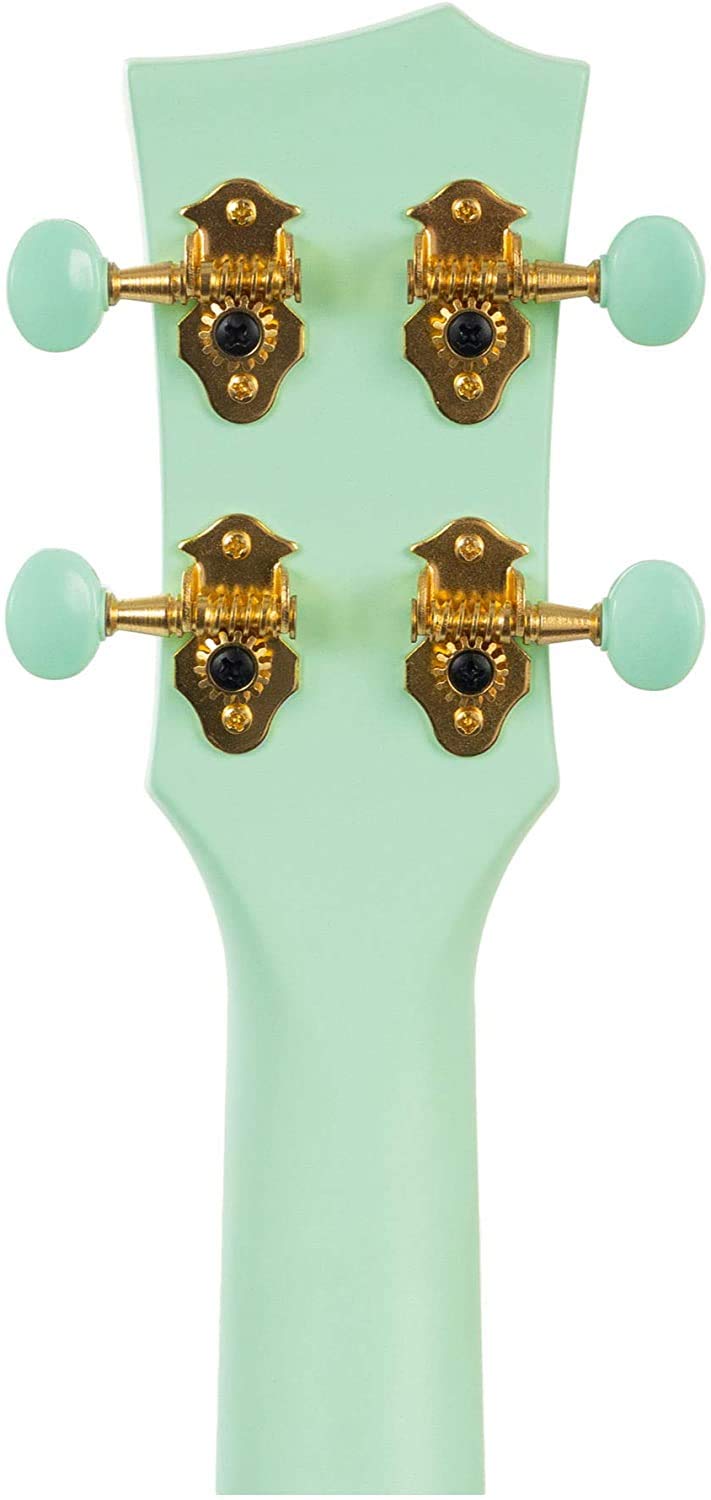 Premium Carbon Fiber Concert Ukulele Starter Kit - 23