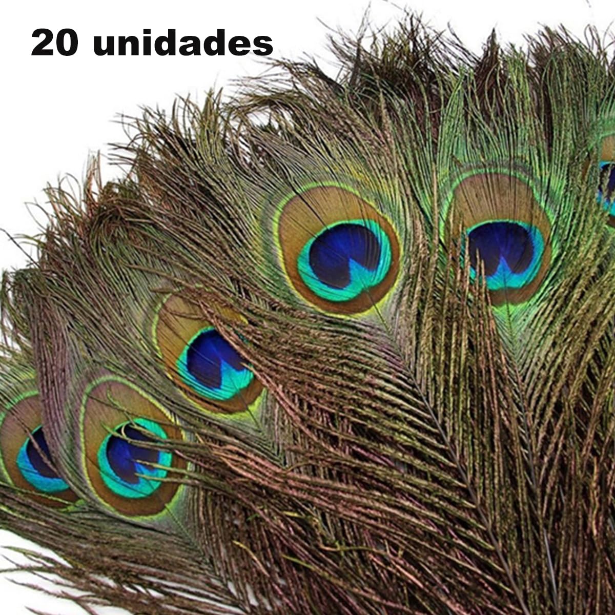 10 Pcs Natural Peacock Feathers with Eyes - Long Tail Feathers for DIY Crafts, Home Decor, Wedding Centerpieces & Bohemian Room Decoration