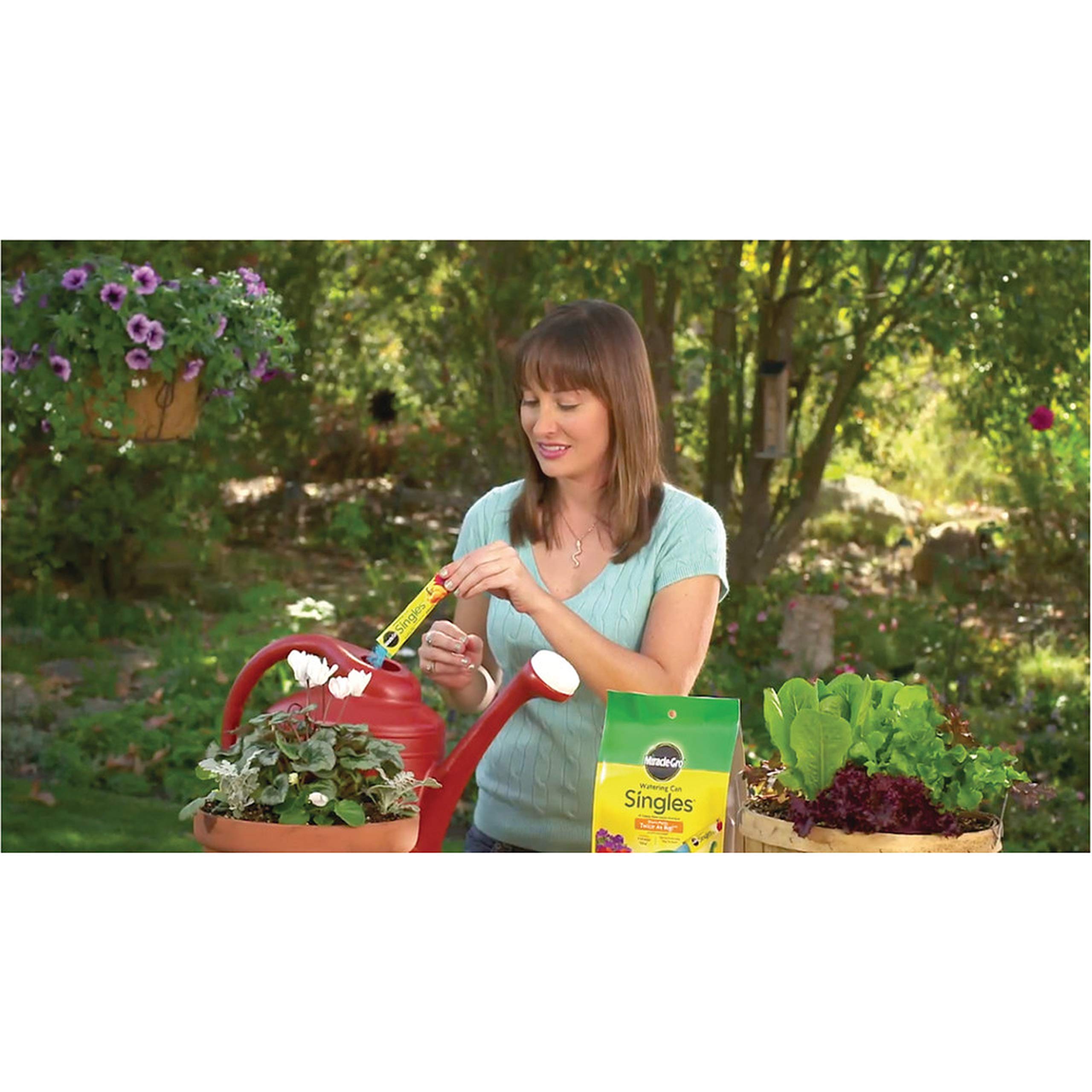 Miracle-Gro Water Soluble All Purpose Plant Food - 24 Packets for Flowers, Vegetables, Houseplants, Trees | Indoor & Outdoor Gardening Essentials | Perfect for Daily Plant Care and Garden Maintenance