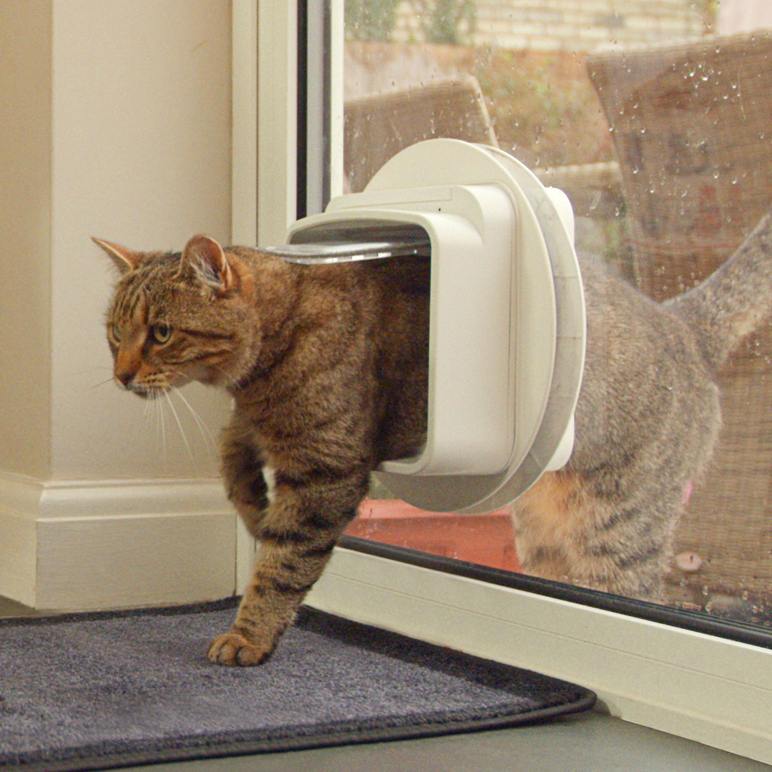 SureFlap DualScan Microchip Cat Door - 4.75