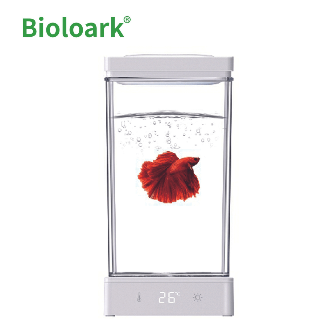 BIOLOARK BT 01 Betta Fish Tank - 3 Gallon Glass Aquarium with LED Light & Filter for Small Fish, Perfect for Home, Office, or Classroom Decor