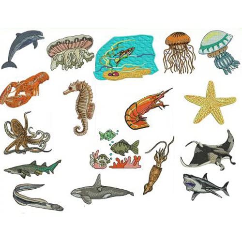 Marine Life1