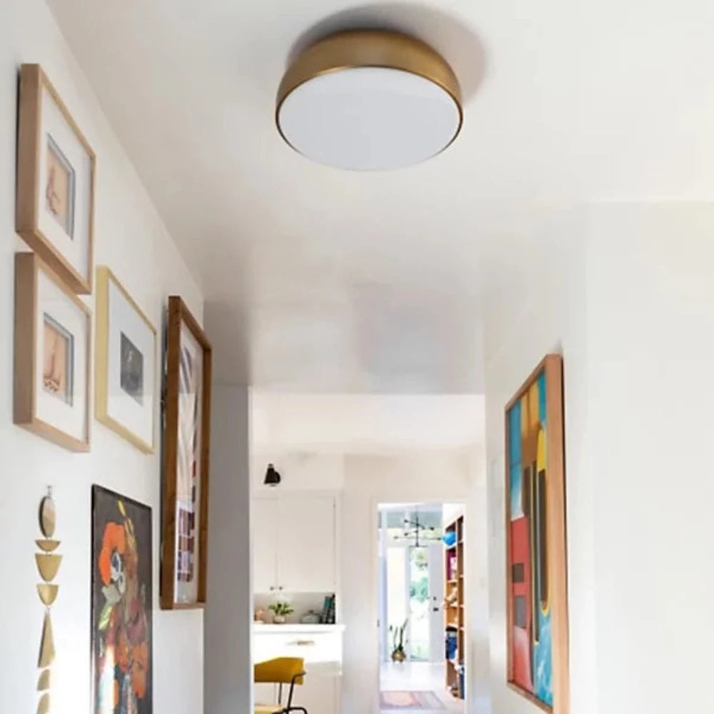 Stainless Steel Flush Mount Ceiling Light Fixture - Modern & Durable for Living Room, Bedroom, Kitchen, Hallway