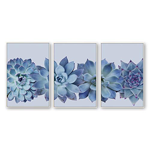 Plants-1909-n16