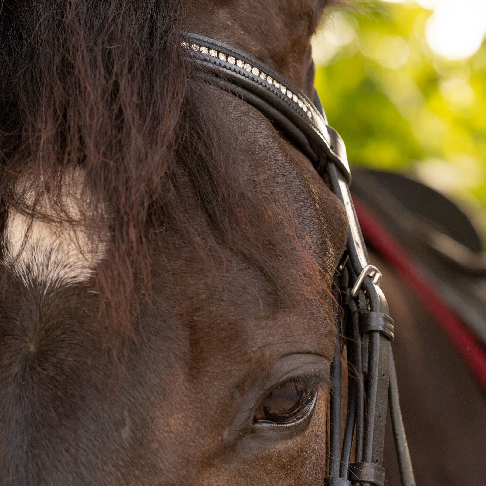 Equinavia Saga Dressage Padded Crank Noseband Horse Bridle with Flash & Reins - Black - Premium Equestrian Gear for Training & Show Jumping