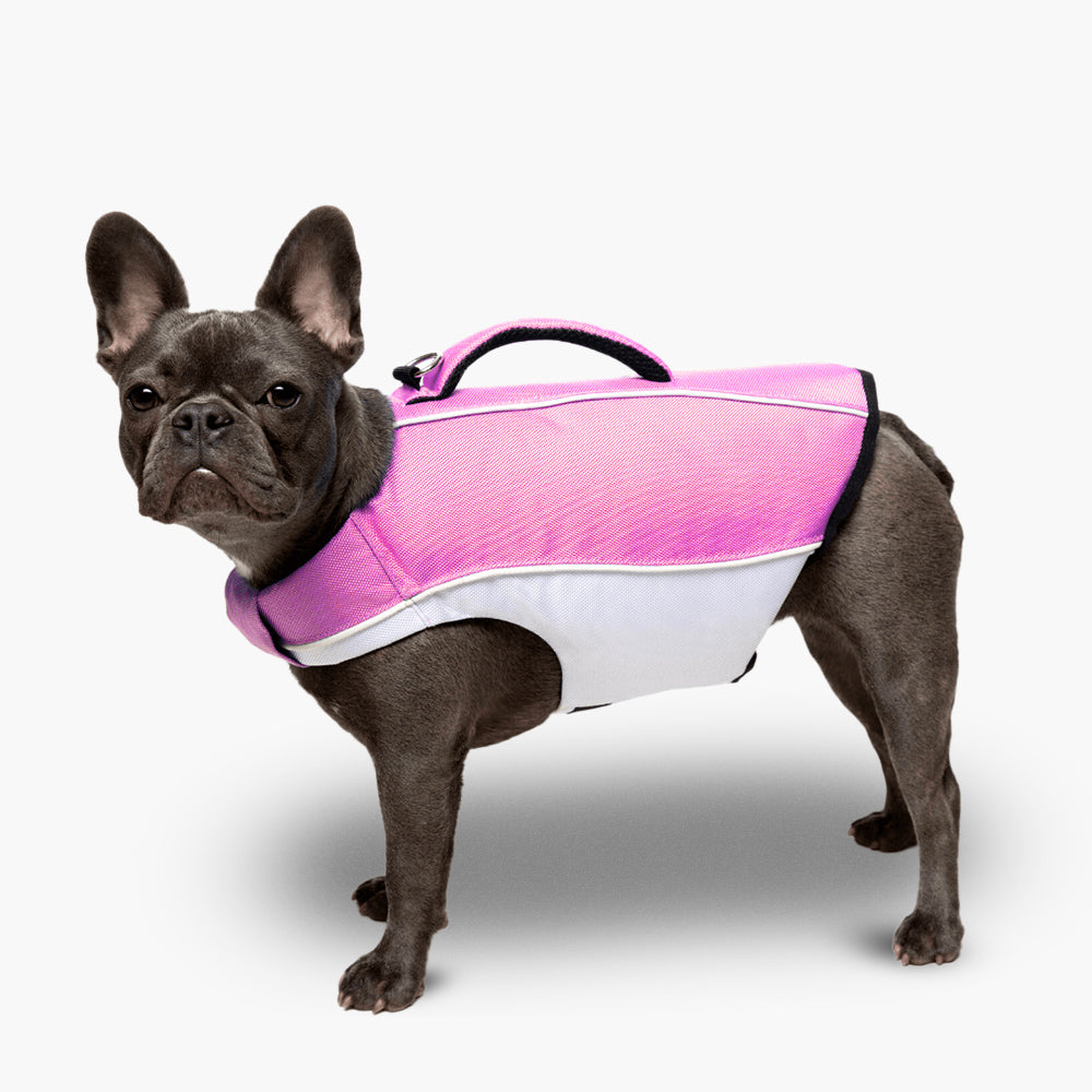 Dog Life Jacket for Swimming & Boating - Pink Safety Vest for Small Medium Large Dogs - Waterproof Buoyancy Aid for Pools, Lakes & Beach