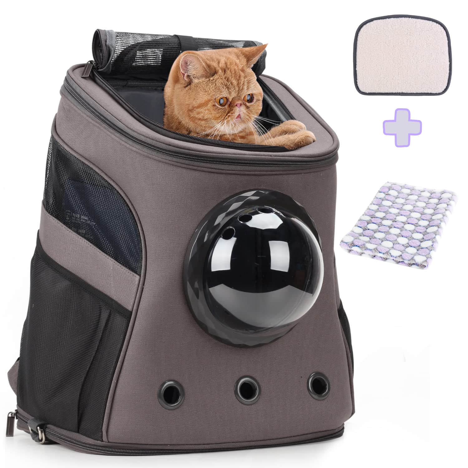 LOLLIMEOW Airline-Approved Pet Carrier Backpack for Cats & Dogs - Travel & Outdoor Use