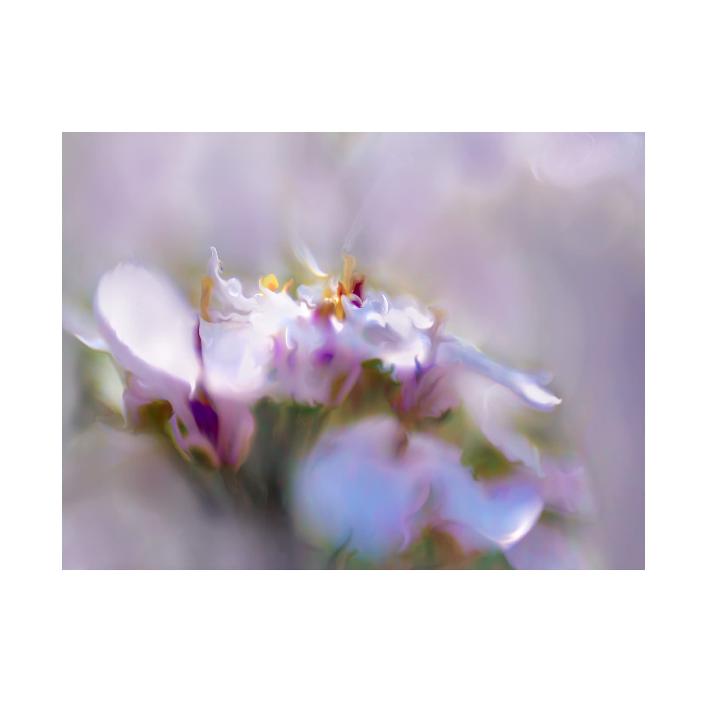 Gillian Hunt 'Mist of Lilac III' Floral Canvas Wall Art Print - Handmade Home Decor for Living Room, Bedroom & Office