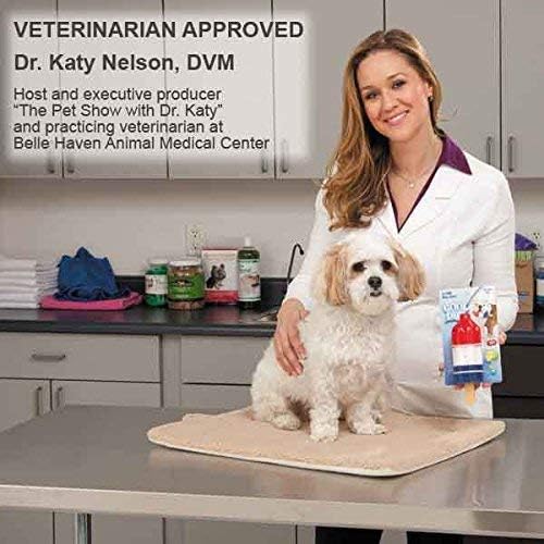 Dog Chew Toy - Rocket Pop Ice Cream Popsicle Shaped Summer Cooling Toy for Small Dogs | Frozen Water Treat Dispenser for Hot Weather Playtime