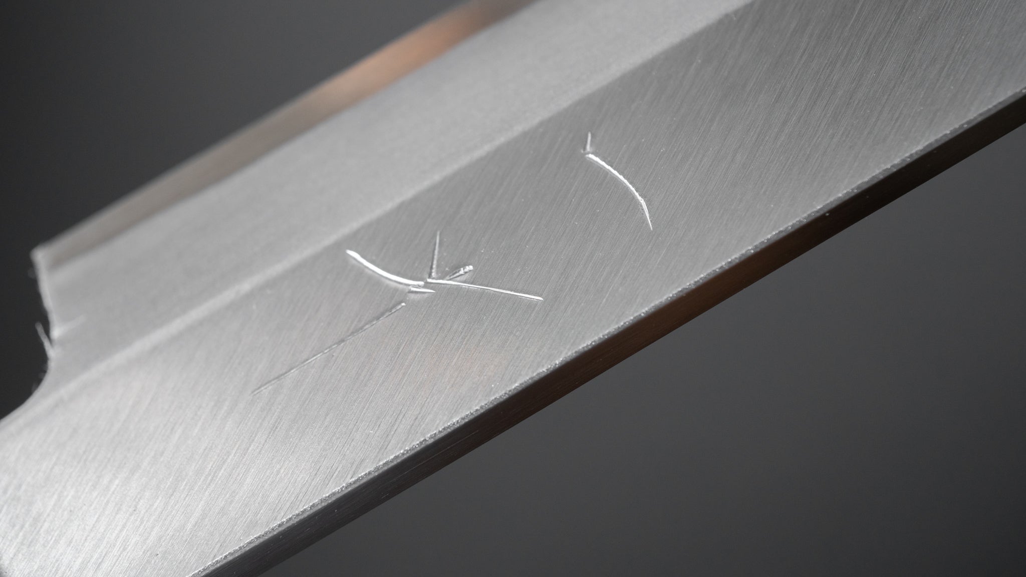 Premium Hitohira Gorobei Blue #2 Left-Handed Yanagiba Sushi Knife 270mm - Japanese Ho Wood D-Shaped Handle - Perfect for Sushi Chefs & Left-Handed Professionals