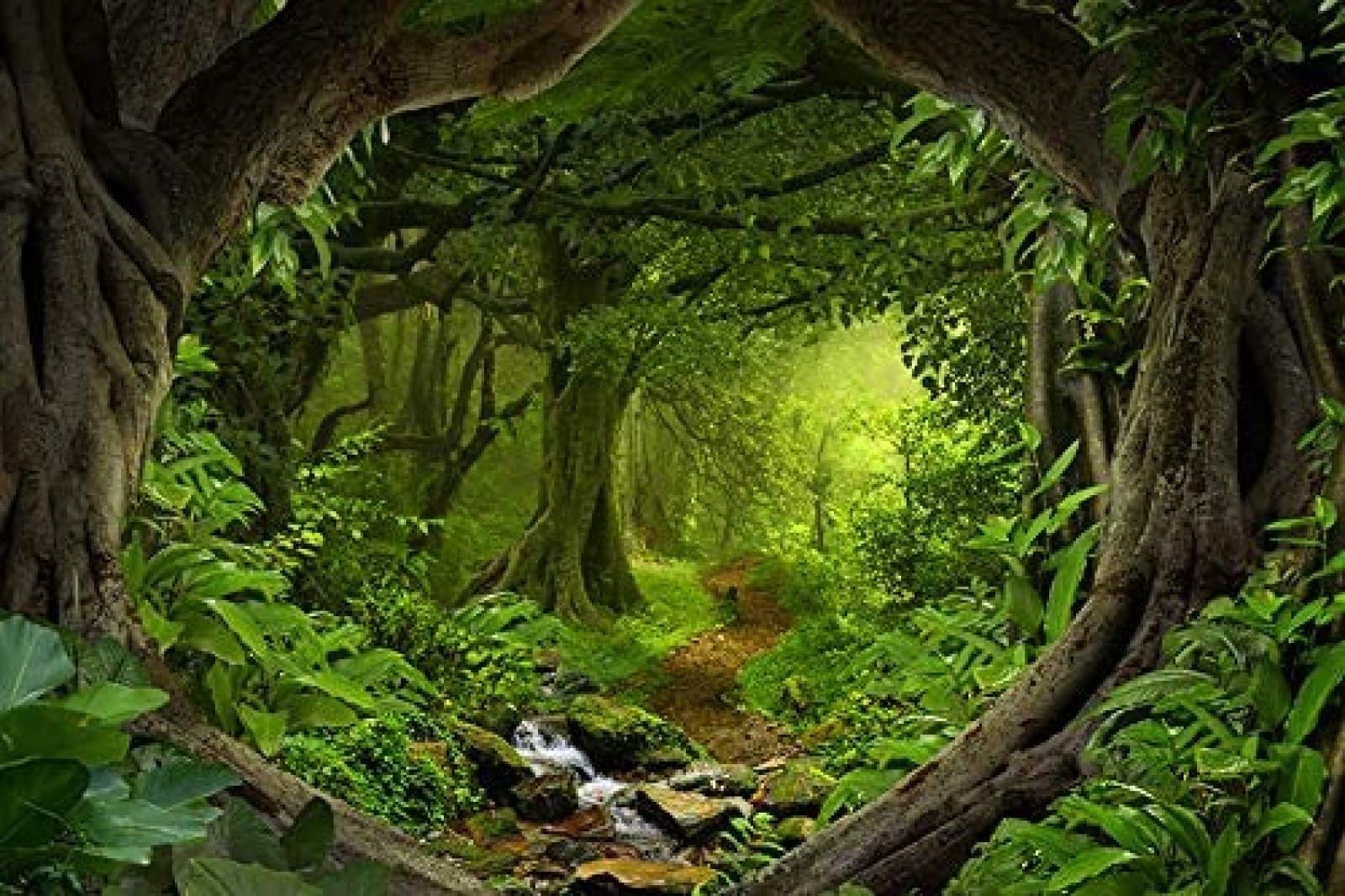 Fantasy Enchanted Forest Canvas Wall Mural - Self-Adhesive Peel & Stick Vinyl Wallpaper (116