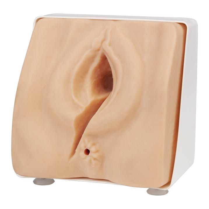 Episiotomy Suturing Perineal Repair Trainer Kit - Medical Practice Model for OBGYN Training & Midwife Skills Development - Perfect for Clinical Simulation and Surgical Education