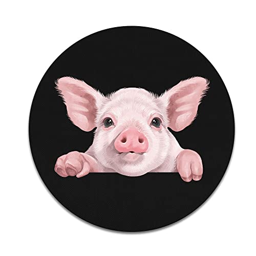 Baby Pig With Feets Out