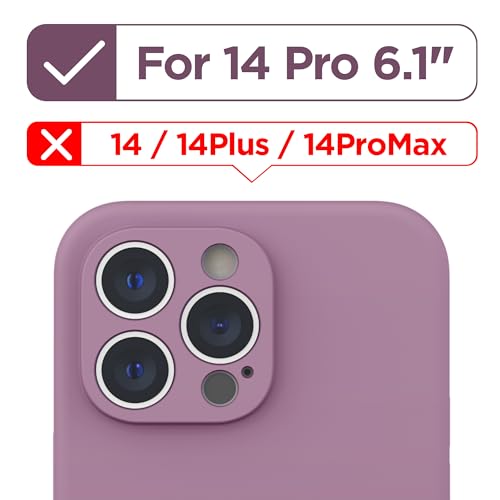 Lilac Purple