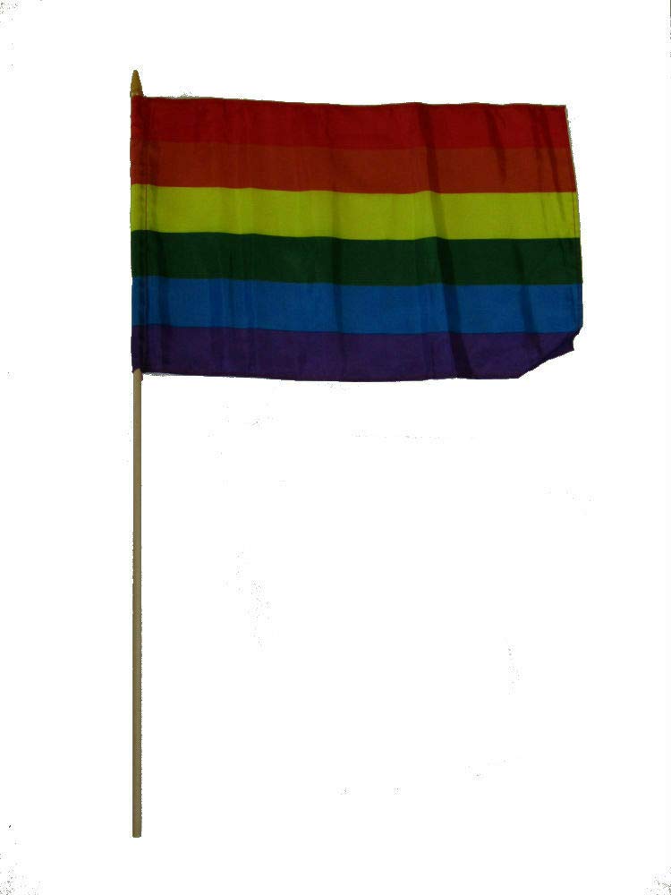 LGBTQ Pride Flag 12x18 Inch - Pack of 12 Rainbow Striped Mini Flags with 30
