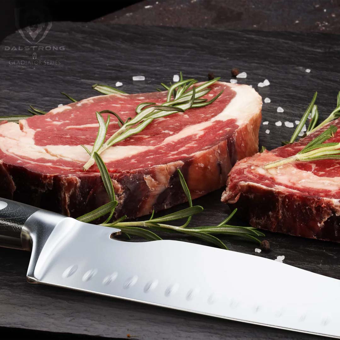 Dalstrong Gladiator Series BBQ Pitmaster Meat Knife 8