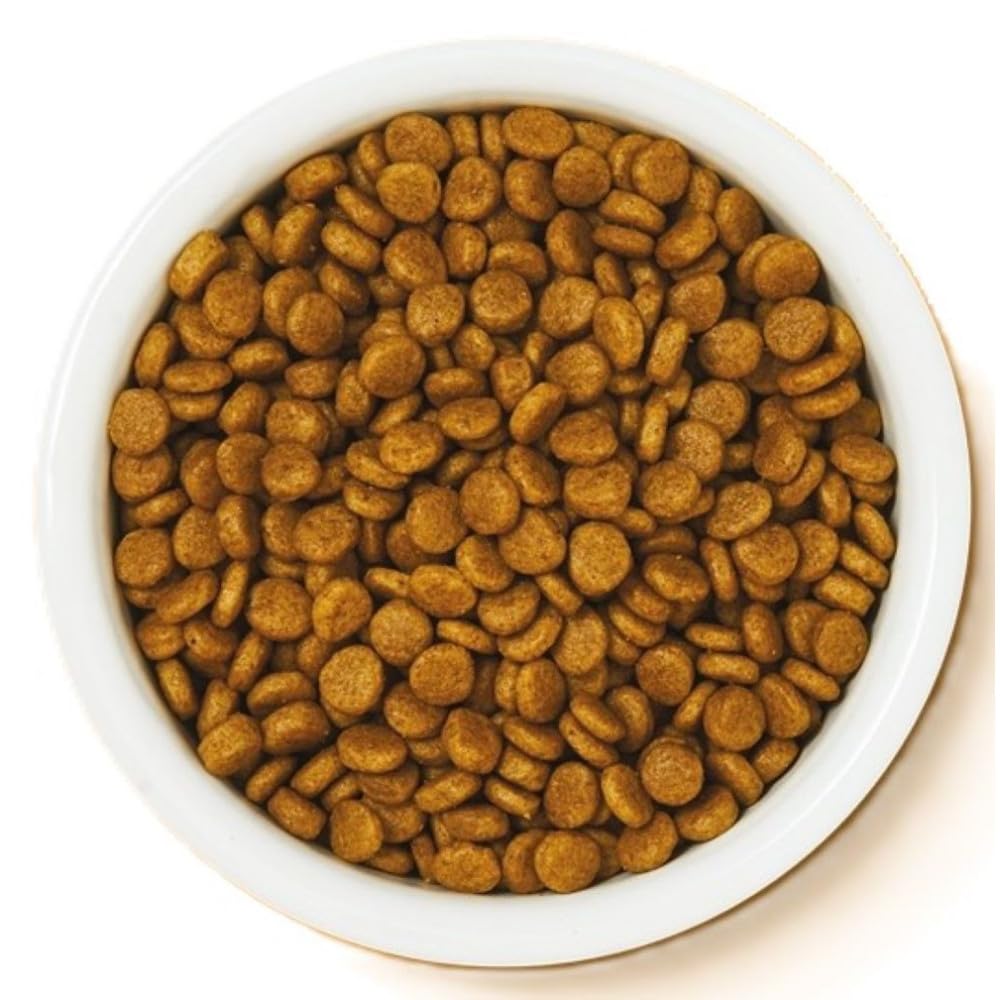 Lily's Kitchen Kitten Dry Food 800g - Healthy Cat Nutrition for Active Kittens