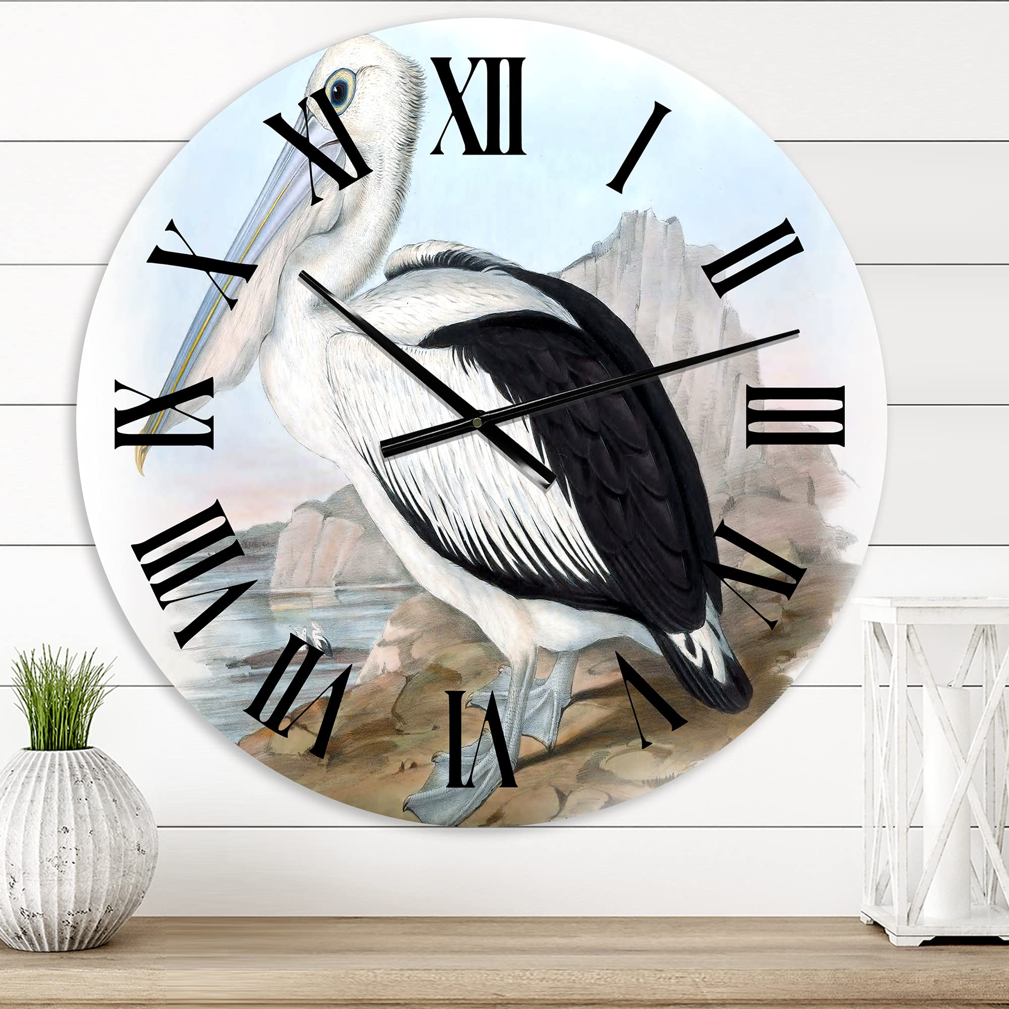 Vintage Australian Birds VIII Large Wall Clock - Traditional Landscape & Nature Decor for Living Room, Bedroom, Office - Perfect for Home & Office Décor