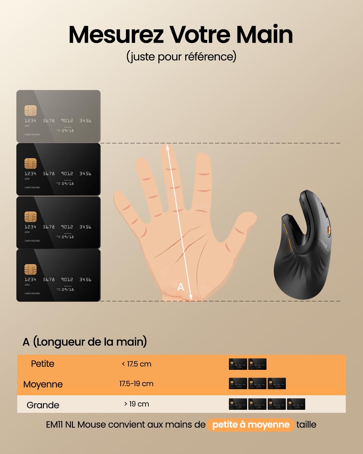 ProtoArc EM11 Wireless Ergonomic Mouse, Rechargeable Vertical Mouse with Bluetooth & USB for PC, Mac, iPad - Black - Perfect for Office & Home Use