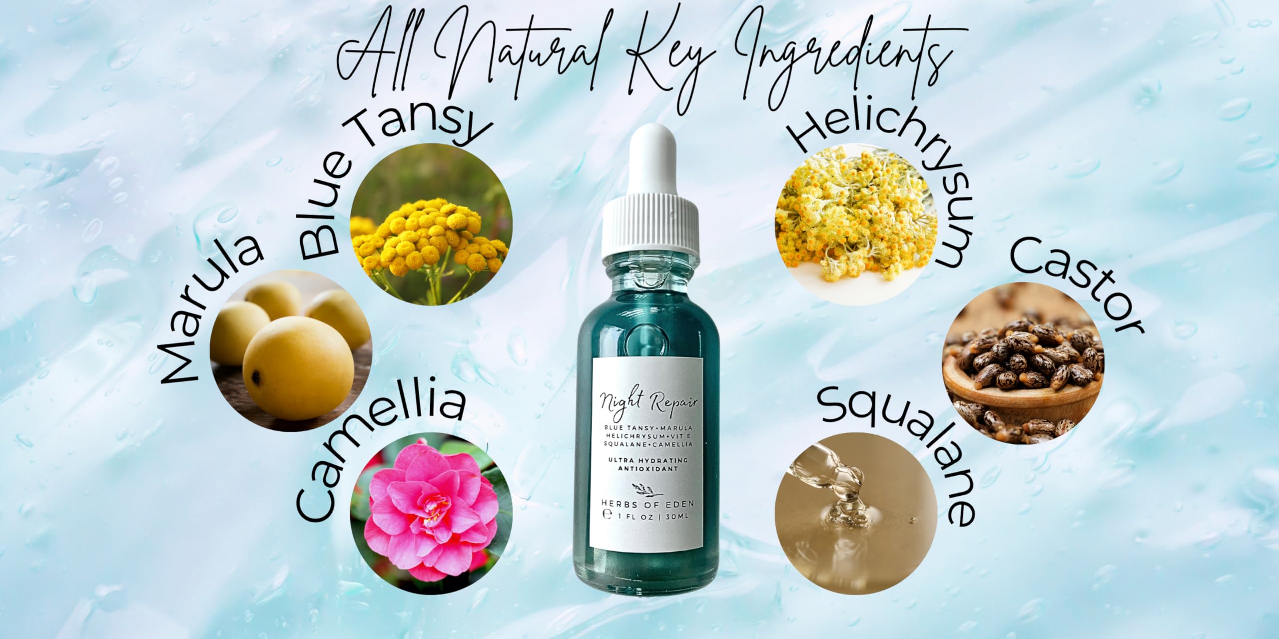 Organic Blue Tansy Night Repair Face Serum with Squalane - Anti-Aging Collagen Booster for Glowing Skin | Pore Minimizer & Skin Plumping Serum | Antioxidant Rich Formula for Gua Sha & Nighttime Skincare Routine
