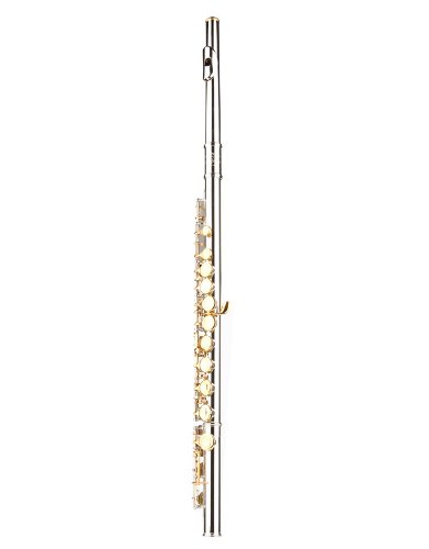 Professional Glory Closed Hole C Flute with Hard Case - Includes Tuning Rod, Cleaning Cloth, Joint Grease & Gloves (Nickel/Laquer Finish) - Perfect for Beginners, Students & Band Performances