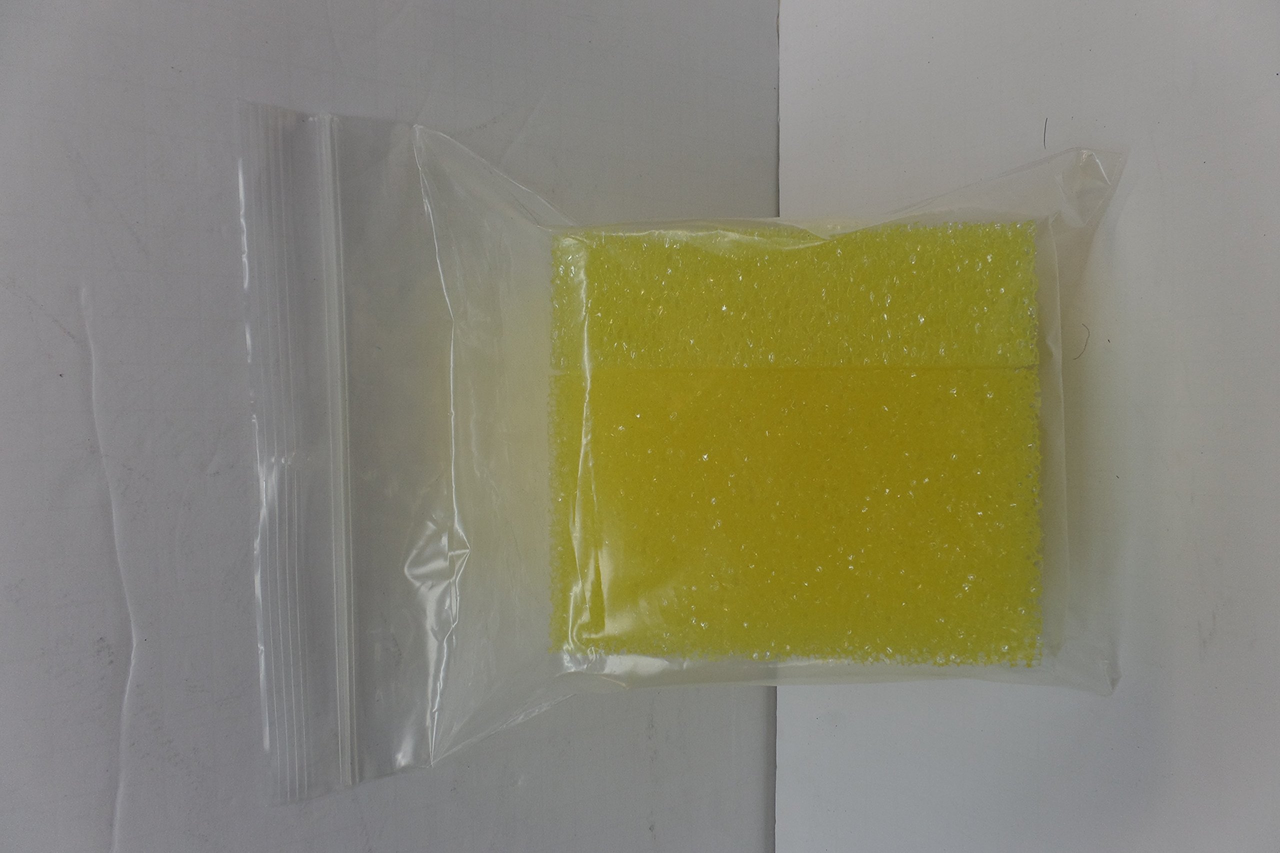 2 Pack Bug Sponges - Effective Insect Cleaning Sponge for Kitchen, Camping, and Outdoor Use