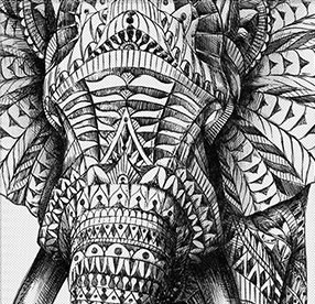 Ornate Elephant