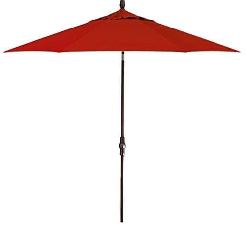 Obravia2 Red w/Bronze Frame