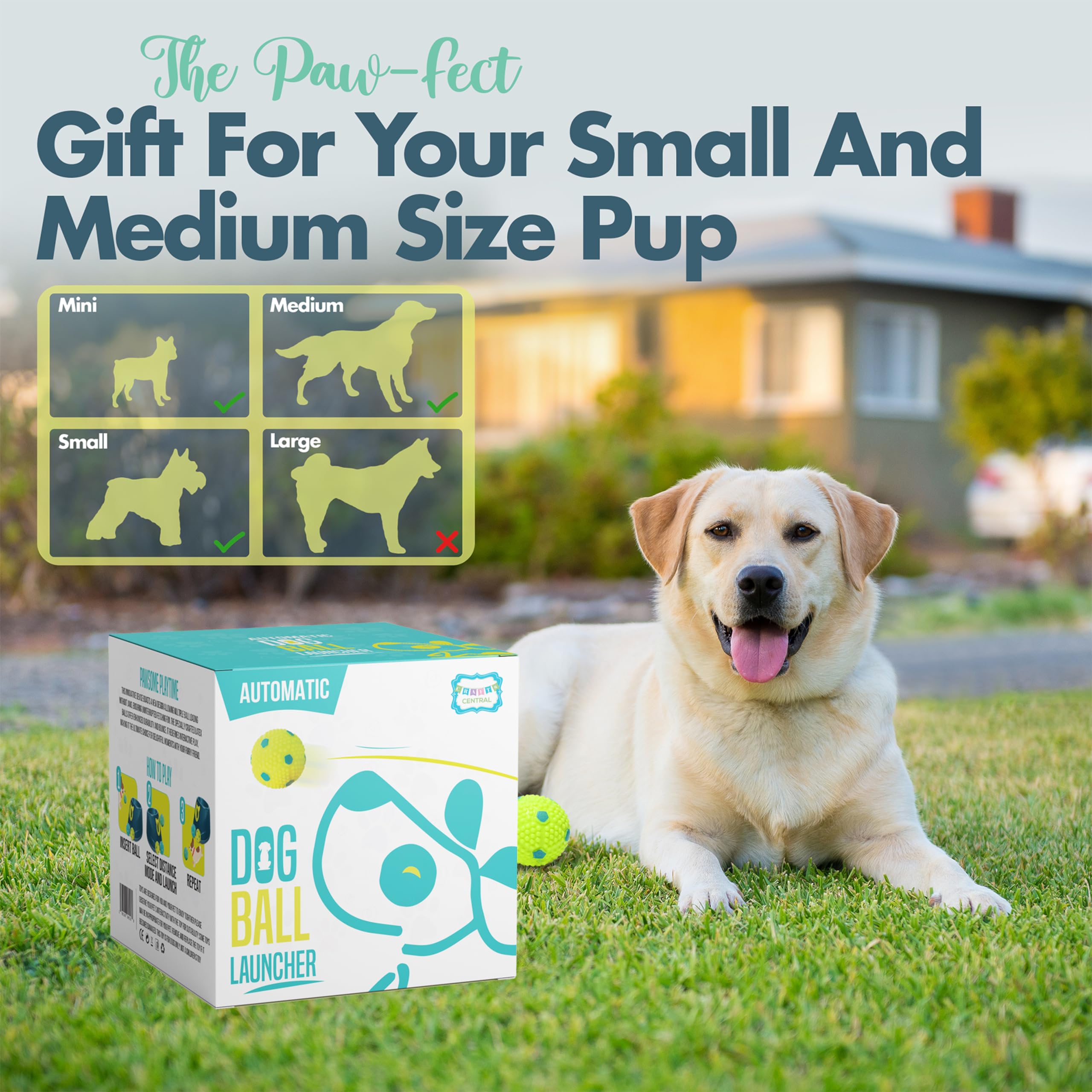 Automatic Dog Ball Launcher - Interactive Fetch Machine Toy for Small & Medium Dogs with 6 Latex Balls, Plug-in & Battery Powered (4 Distance Settings) - Perfect for Backyard Play, Exercise & Training Sessions