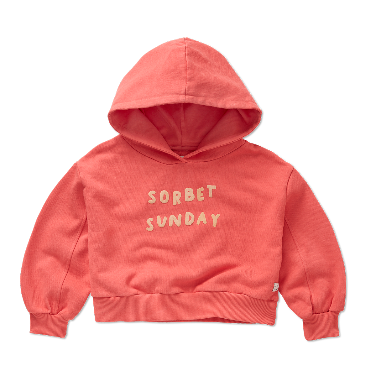 Sproet & Sprout Women's Hooded Cropped Sweatshirt - Soft Casual Pullover for Streetwear, Loungewear & Fall Fashion