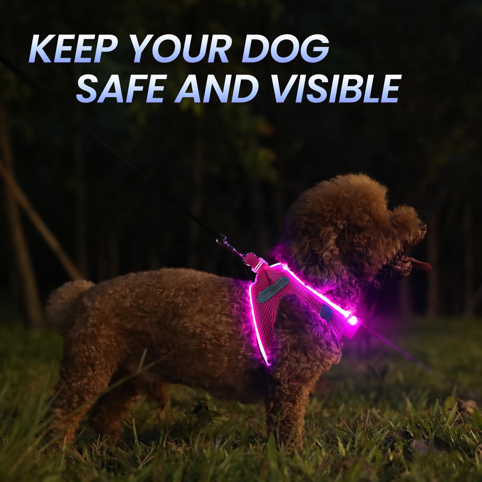 LED Dog Harness with Flashing Lights - Rechargeable No-Pull Reflective Vest for Small & Medium Dogs - Night Walking Safety Gear for Puppies (Pink, Small) - Perfect for Evening Walks, Jogging & Outdoor Adventures
