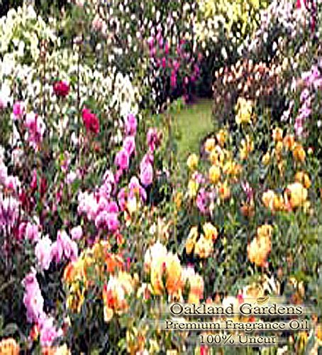 BULK Rose Garden Fragrance Oil - Floral Scent with Rose, Gardenia & Violet Notes | 2 fl oz Bottle | Perfect for Candles, Soaps & Home Diffusers