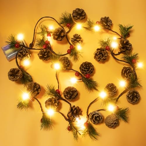 2 Packs Christmas String Lights
